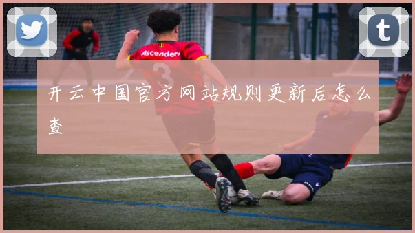 开云中国官方网站规则更新后怎么查