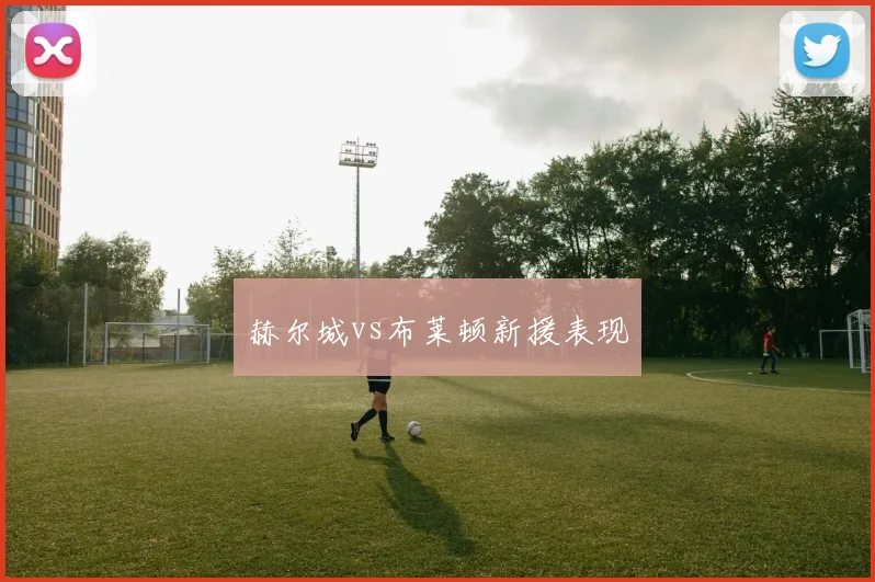 赫尔城vs布莱顿新援表现