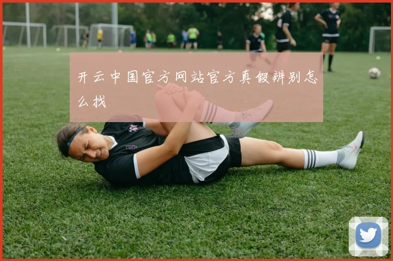 开云中国官方网站官方真假辨别怎么找