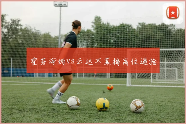 霍芬海姆vs云达不莱梅高位逼抢